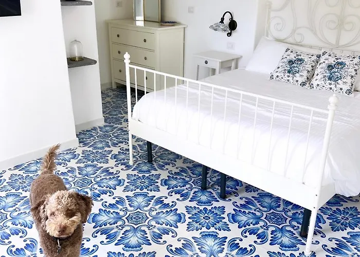 卡罗莱纳州套房别墅旅馆 招待所 卡普里