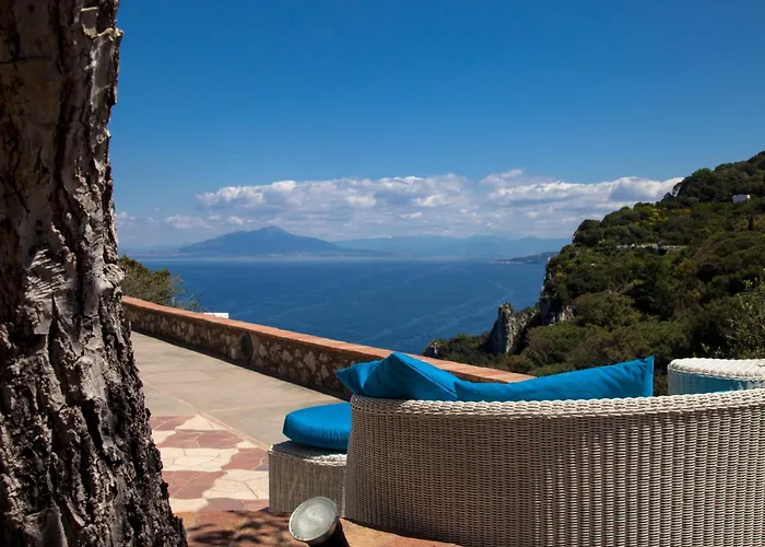 卡罗莱纳州套房别墅旅馆 招待所 卡普里