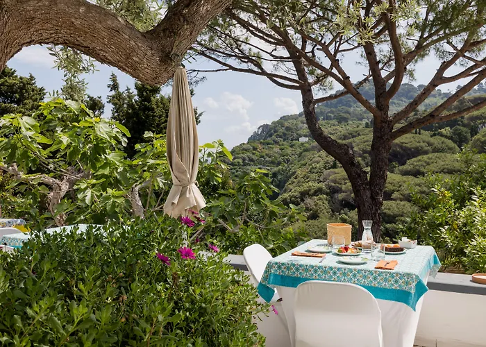 卡罗莱纳州套房别墅旅馆 招待所