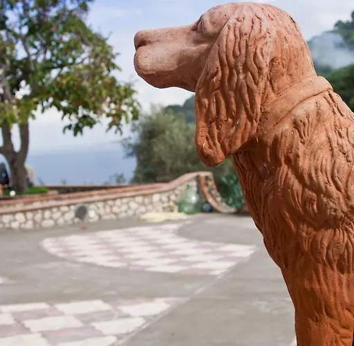 卡罗莱纳州套房别墅旅馆 4*