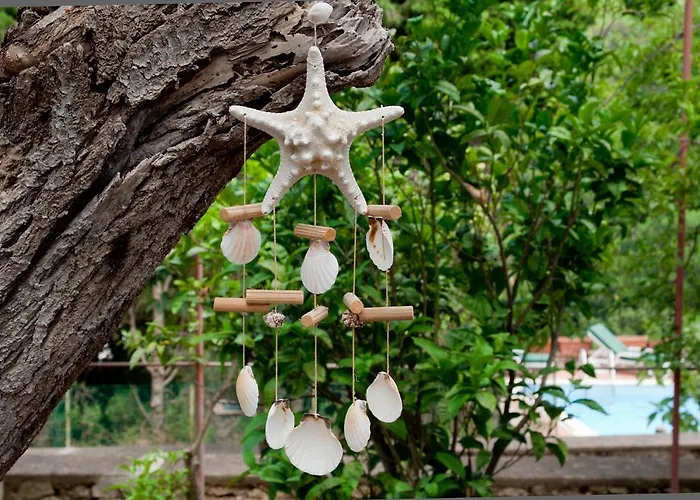 卡罗莱纳州套房别墅旅馆 招待所 4*