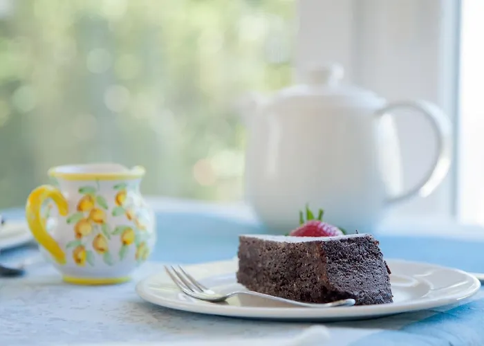 卡罗莱纳州套房别墅旅馆 招待所