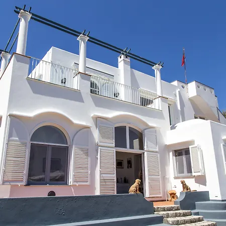 بيت ضيافة Carolina